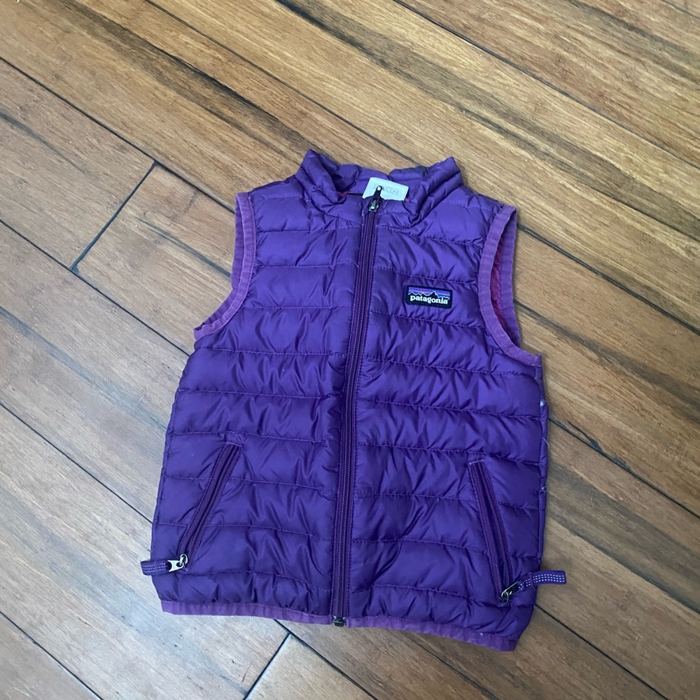 Patagonia Down Vest